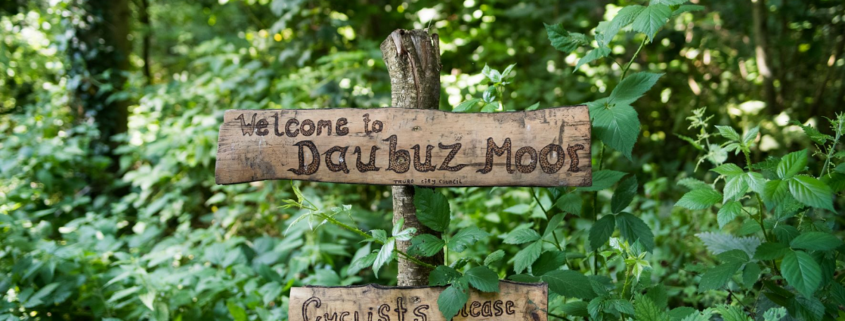 Daubuz Moor - Bioblitz Week