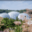 eden-project-biomes-gardeners-question-time