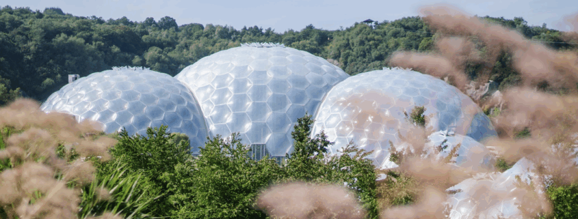 eden-project-biomes-gardeners-question-time